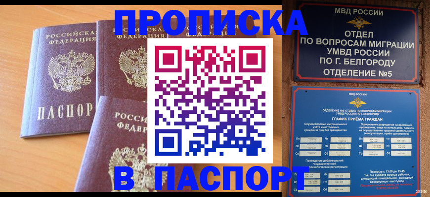 прописка для школы в Красноярске